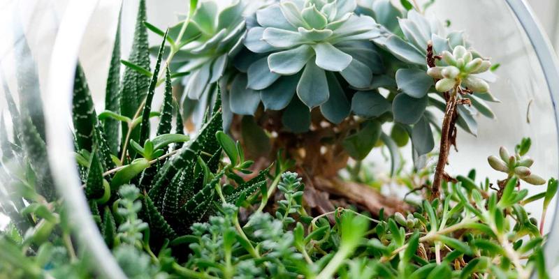 从煤油灯到头灯:户外照明进化史如何照亮山峰与露营之路