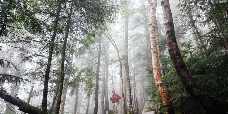 征服四季山峰:资深探险者教你根据季节精准选择登山鞋的终极技巧