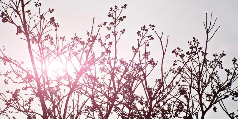 轻量化金字塔帐篷搭建全攻略:从地钉技巧到抗风策略,应对多变山地气候