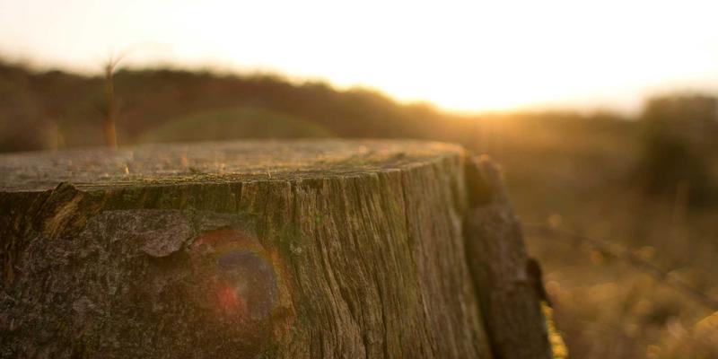 露营睡眠系统终极指南：读懂温标、填充物与形状，三步选出你的本命睡袋